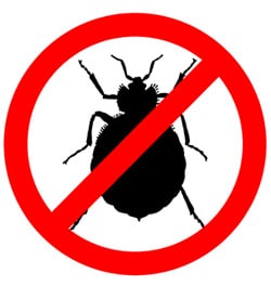 Bed Bug Prevention